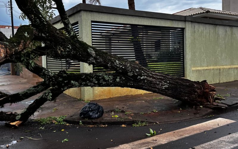 AVISO DE UTILIDADE PÚBLICA-Vento e chuva forte provocam queda de energia que afeta o abastecimento de água em bairros de Campo Mourão