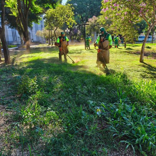 Prefeitura intensifica roçadas em espaços públicos e fiscaliza falta de limpeza de terrenos particulares