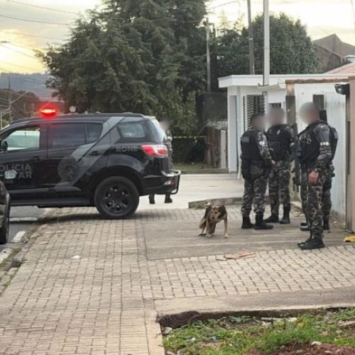 Confronto com a RONE em Araucária resulta em morte de suspeito e apreensão de 500 kg de maconha