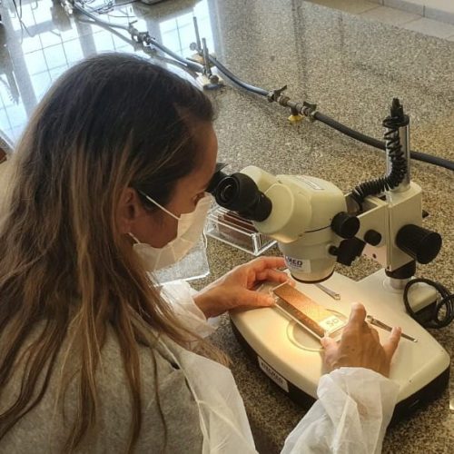 Saúde adota nova metodologia para monitoramento da dengue em Campo Mourão