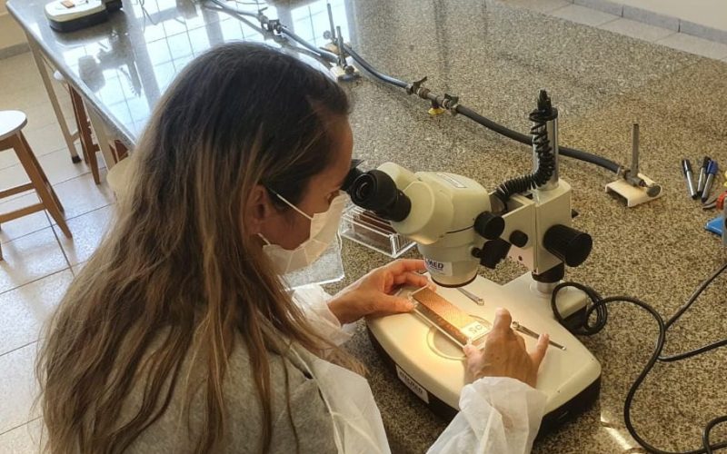 Saúde adota nova metodologia para monitoramento da dengue em Campo Mourão