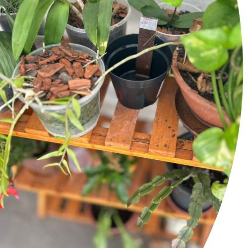 PREFEITURA DE CAMPO MOURÃO ALERTA SOBRE OS RISCOS DA DENGUE