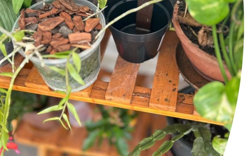 PREFEITURA DE CAMPO MOURÃO ALERTA SOBRE OS RISCOS DA DENGUE