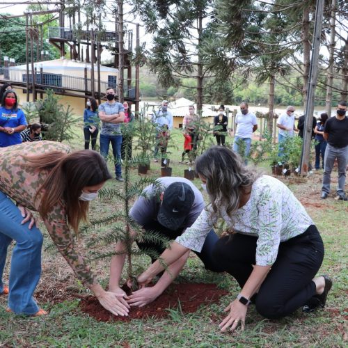 Semana do Meio Ambiente 2025 reforça compromisso de Campo Mourão com sustentabilidade e educação ambiental