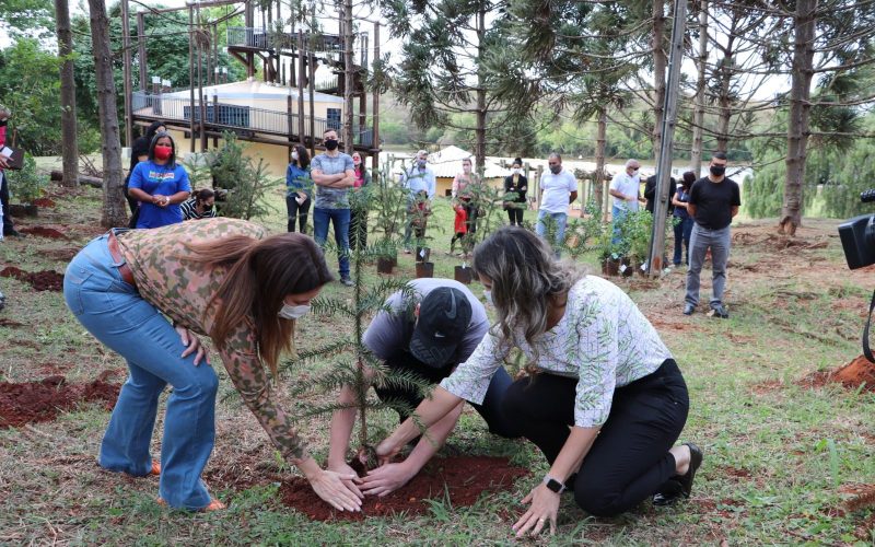Semana do Meio Ambiente 2025 reforça compromisso de Campo Mourão com sustentabilidade e educação ambiental
