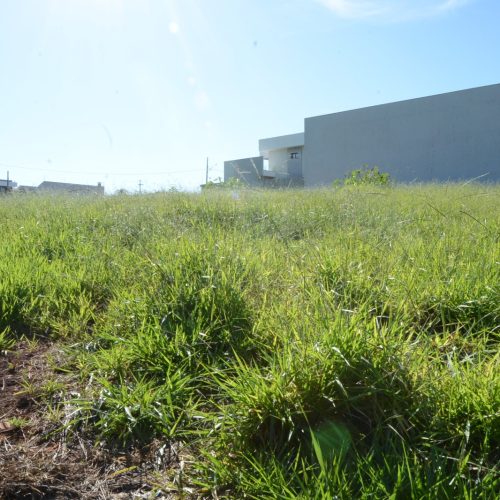 Prefeitura reforça canais da Ouvidoria para denúncias de terrenos sem limpeza