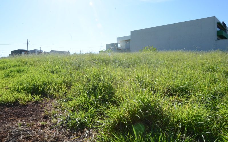 Prefeitura reforça canais da Ouvidoria para denúncias de terrenos sem limpeza