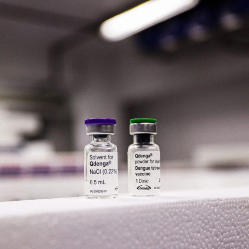 Vacina da dengue nas UBS de Campo Mourão não é a que foi suspensa pelo Ministério da Saúde