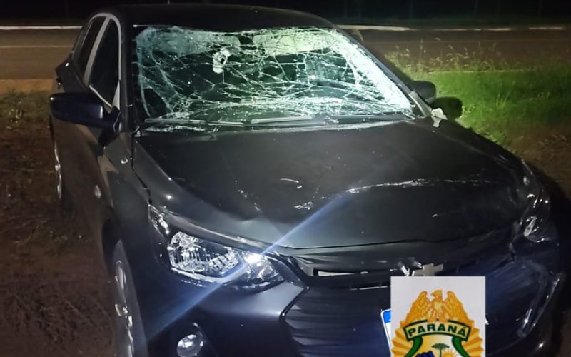 Polícia recupera em Farol veículo furtado em Maringá; dupla é detida