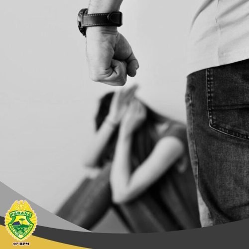 Polícia Militar prende suspeito de violência doméstica e dano no Jardim Nossa Senhora Aparecida